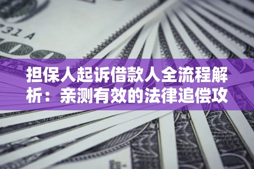 济南担保人起诉借款人全流程解析：亲测有效的法律追偿攻略