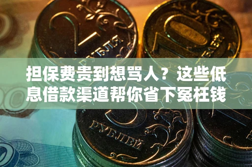 济南担保费贵到想骂人？这些低息借款渠道帮你省下冤枉钱
