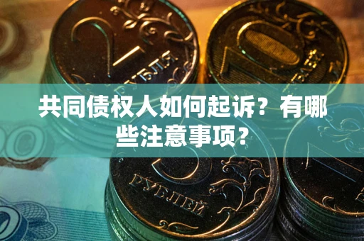 济南共同债权人如何起诉？有哪些注意事项？